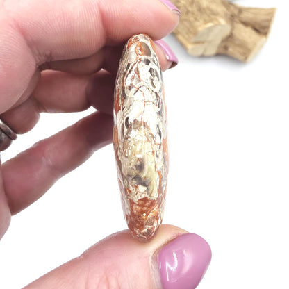 Money Agate Palm Stone – Abundance, Stability & Root Chakra Crystal, 35g