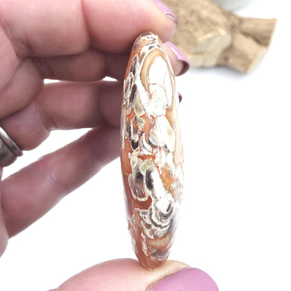 Money Agate Palm Stone – Abundance, Stability & Root Chakra Crystal, 35g