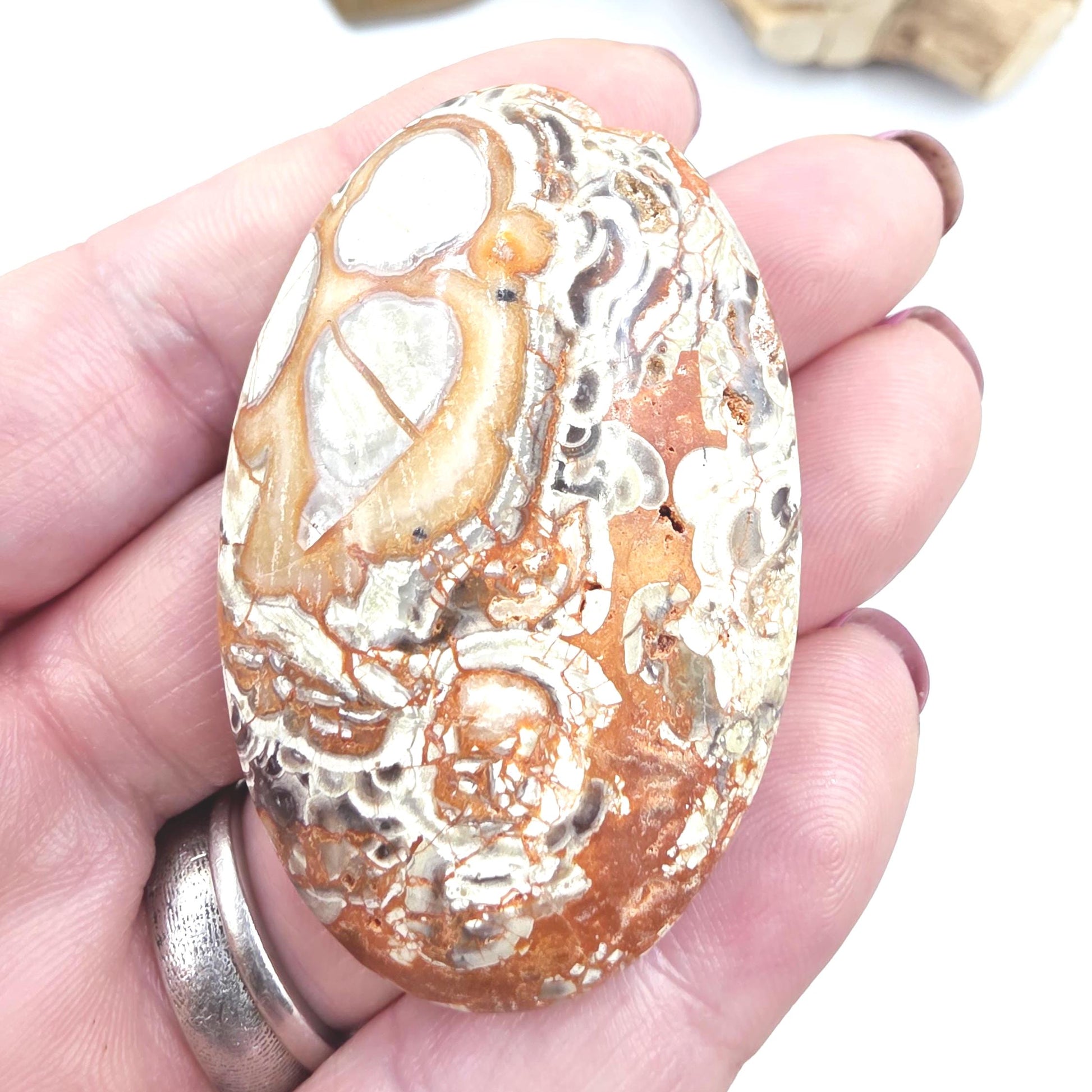 Money Agate Palm Stone – Abundance, Stability & Root Chakra Crystal, 35g