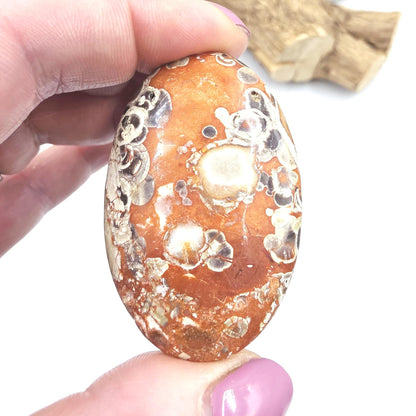Money Agate Palm Stone – Abundance, Stability & Root Chakra Crystal, 35g