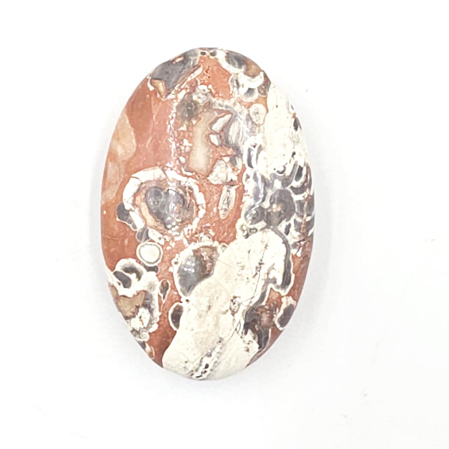 Money Agate Palm Stone – Abundance, Stability & Root Chakra Crystal, 35g