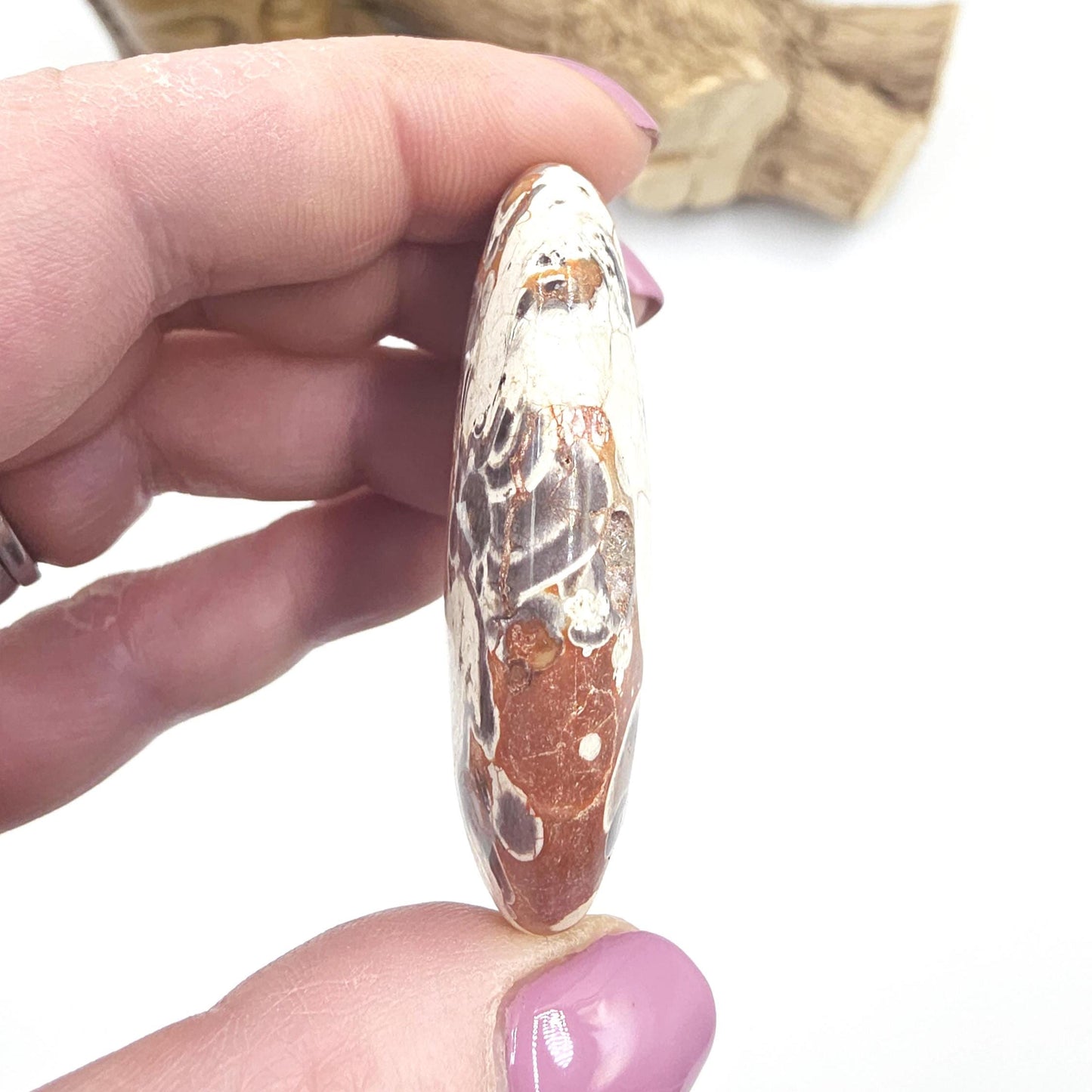 Money Agate Palm Stone – Abundance, Stability & Root Chakra Crystal, 35g