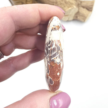 Money Agate Palm Stone – Abundance, Stability & Root Chakra Crystal, 35g