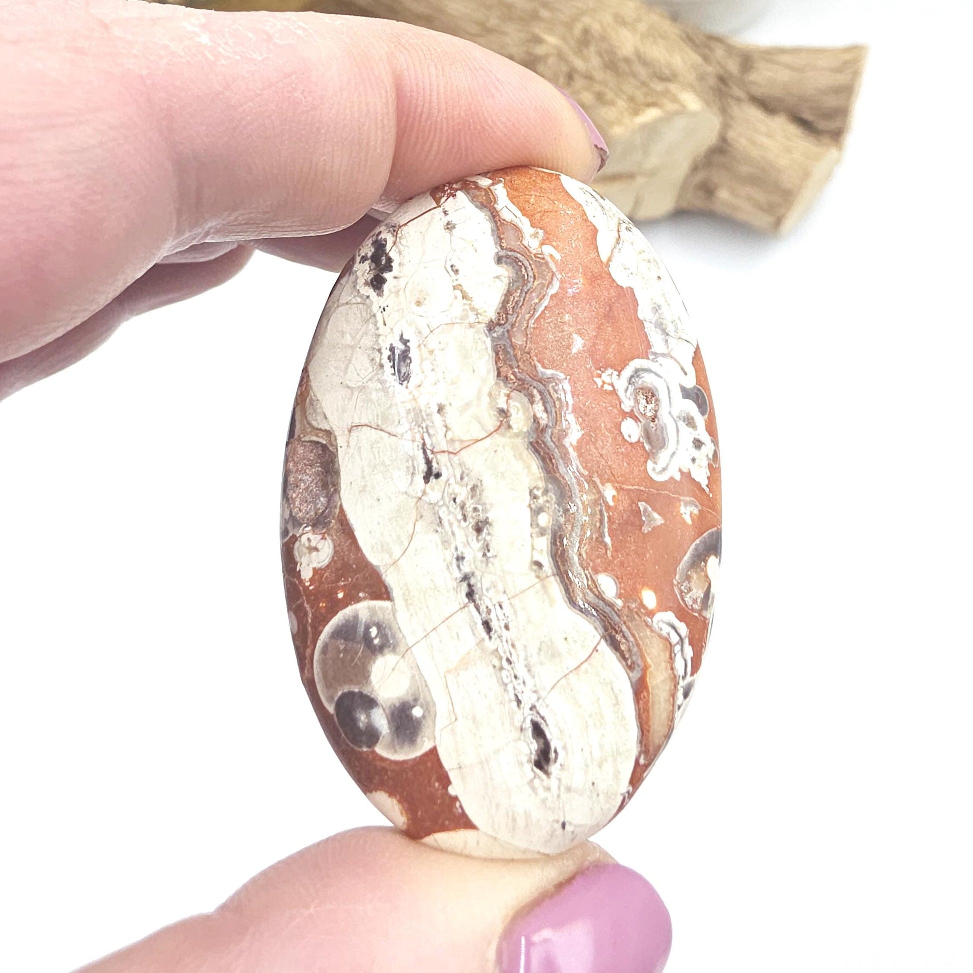 Money Agate Palm Stone – Abundance, Stability & Root Chakra Crystal, 35g
