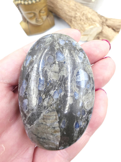 Que Sera (Llanite) Palm Stone – Positivity, Empowerment & Spiritual Growth Crystal, 100g