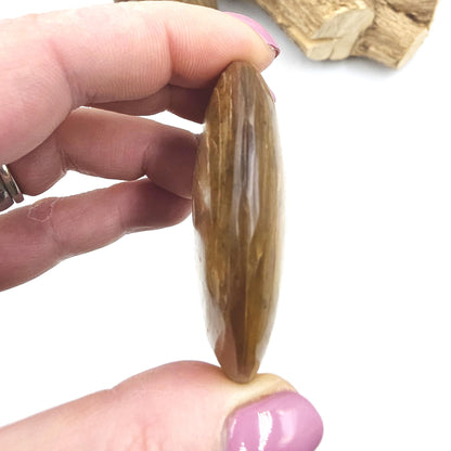 Golden Mica (Muscovite) Palm Stone – Confidence, Clarity & Emotional Strength Healing Crystal, 60g