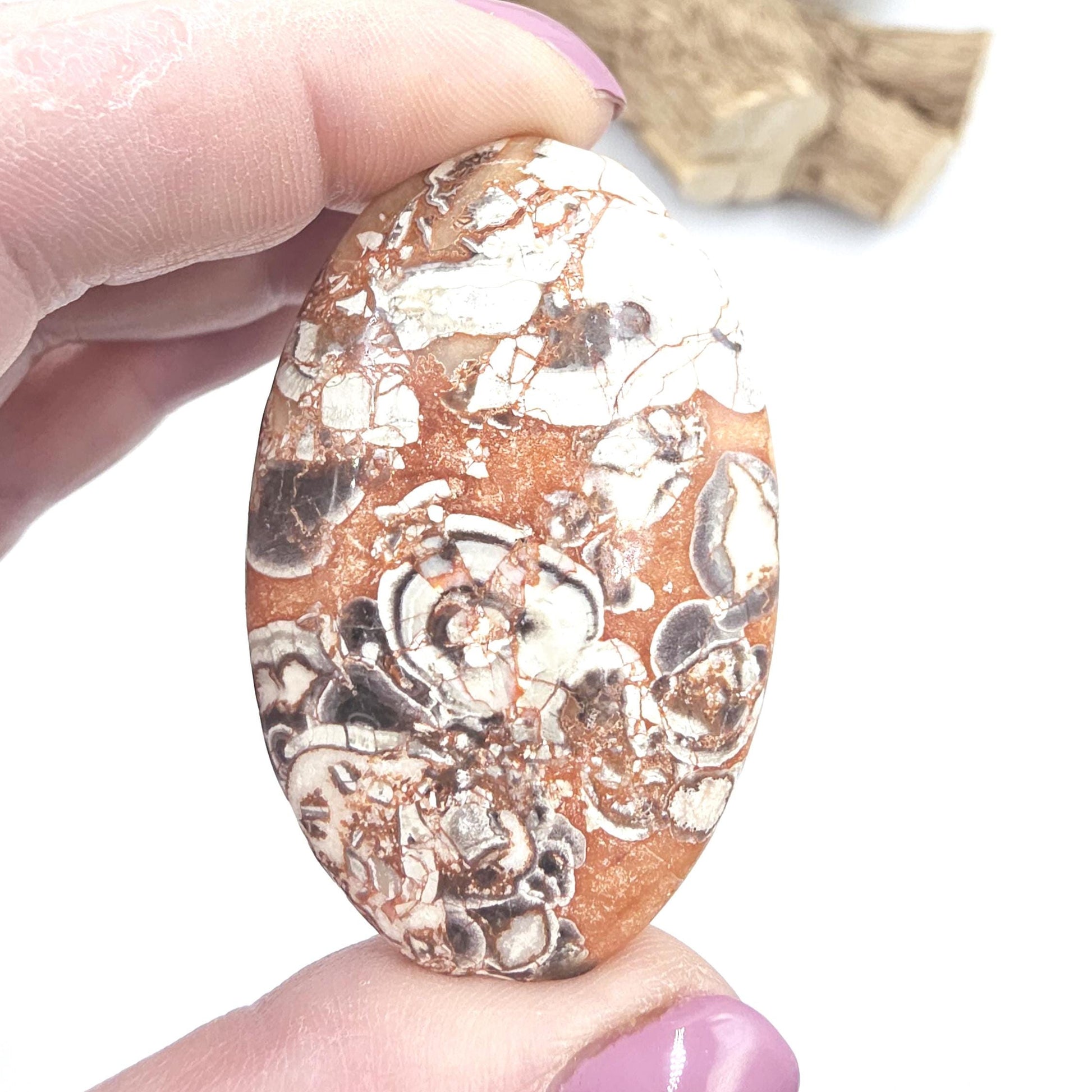 Money Agate Palm Stone – Abundance, Stability & Root Chakra Crystal, 35g
