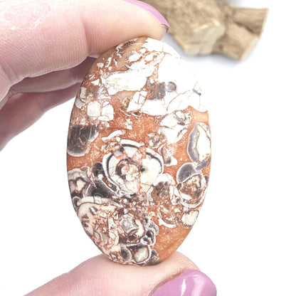 Money Agate Palm Stone – Abundance, Stability & Root Chakra Crystal, 35g