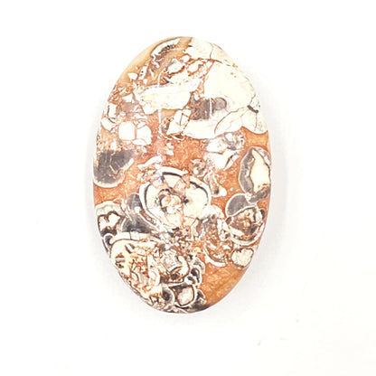 Money Agate Palm Stone – Abundance, Stability & Root Chakra Crystal, 35g