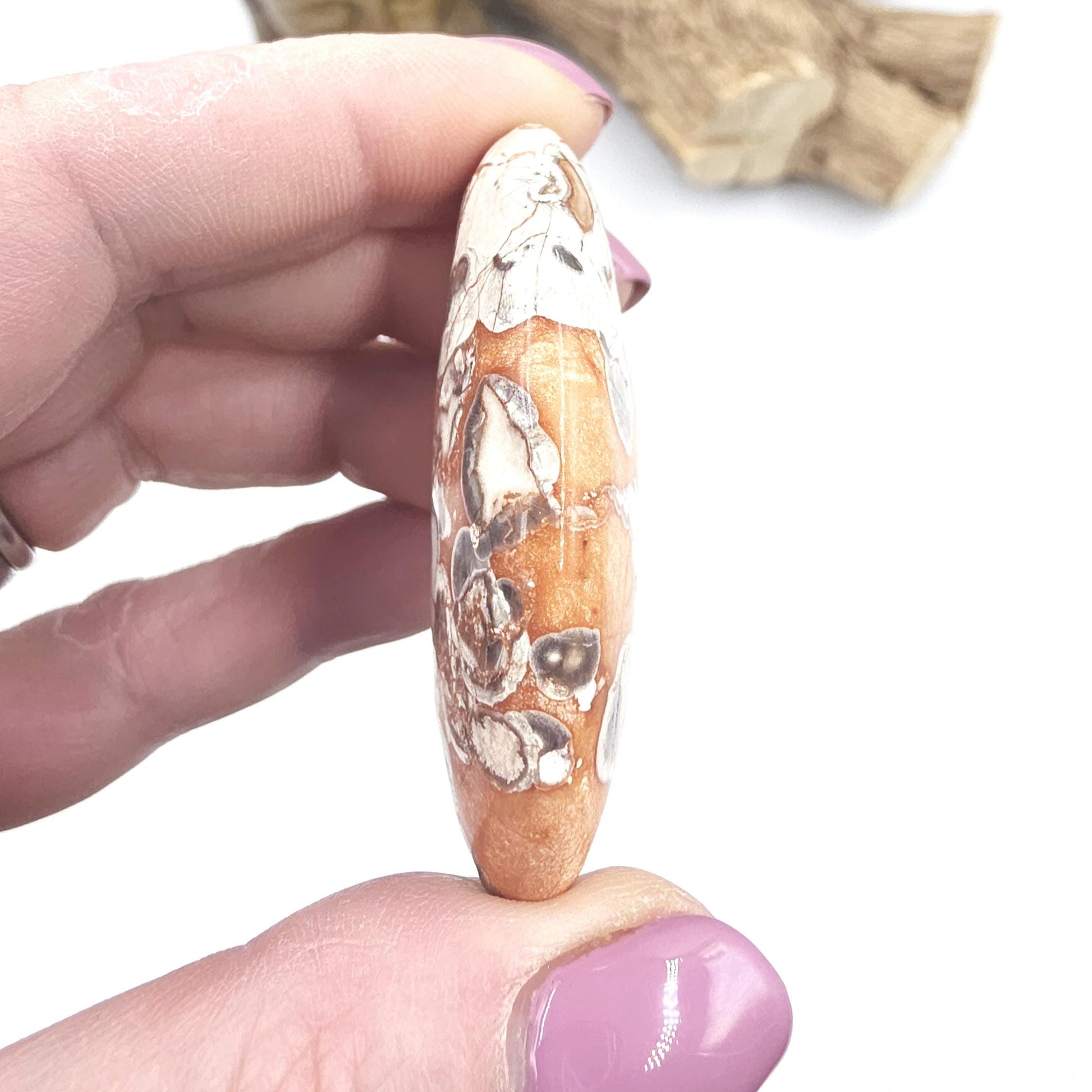 Money Agate Palm Stone – Abundance, Stability & Root Chakra Crystal, 35g