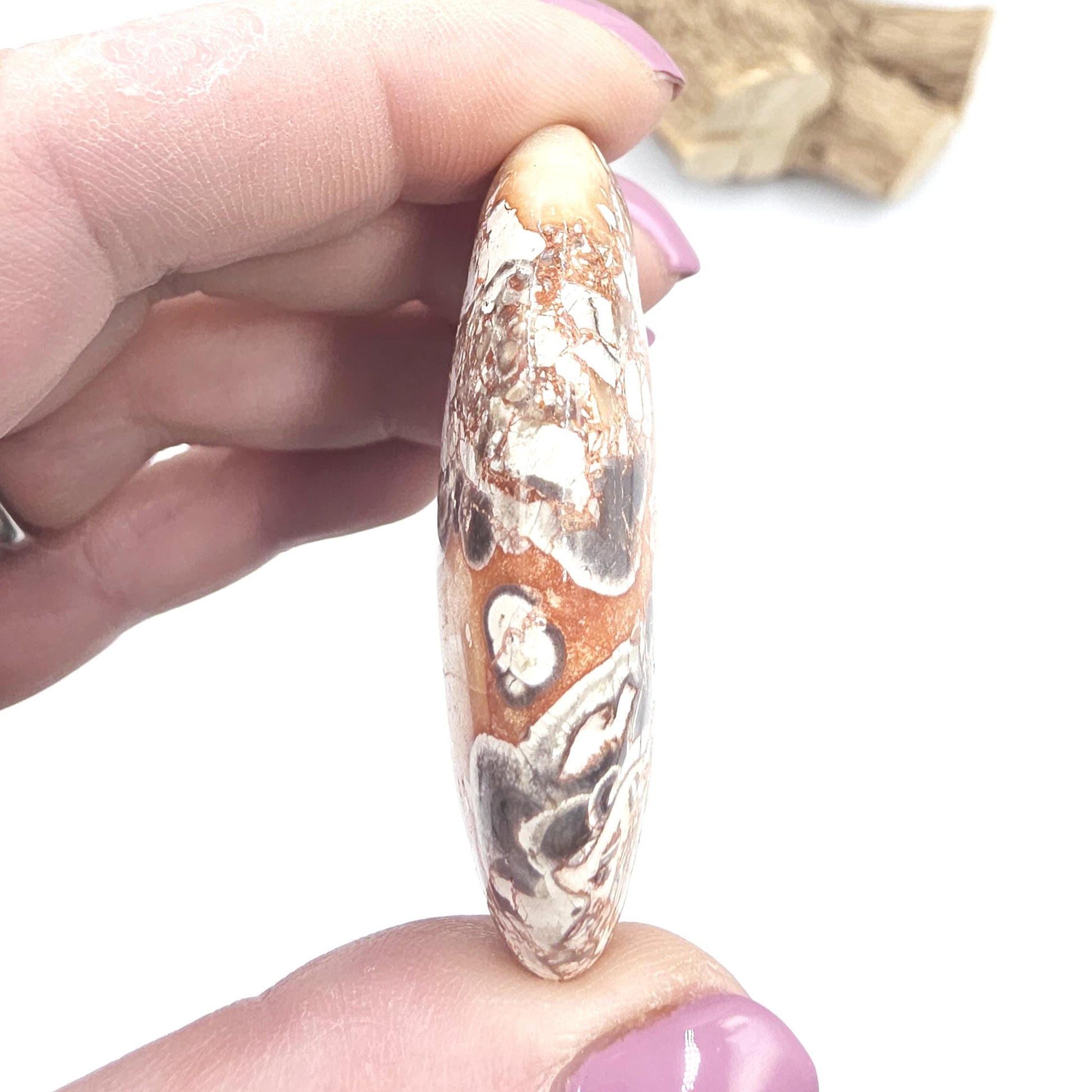 Money Agate Palm Stone – Abundance, Stability & Root Chakra Crystal, 35g