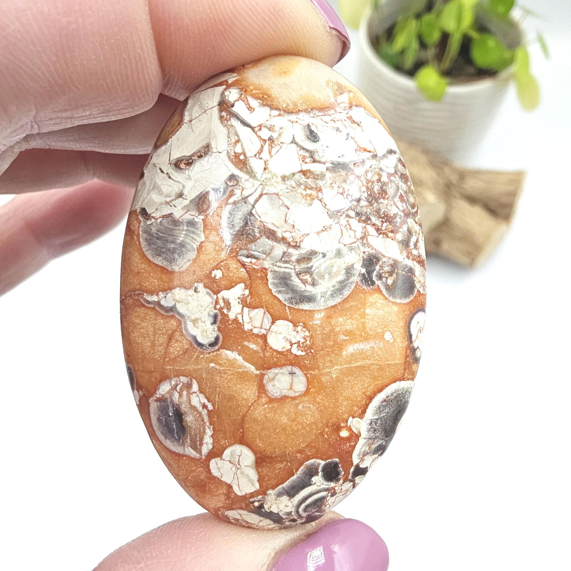 Money Agate Palm Stone – Abundance, Stability & Root Chakra Crystal, 35g