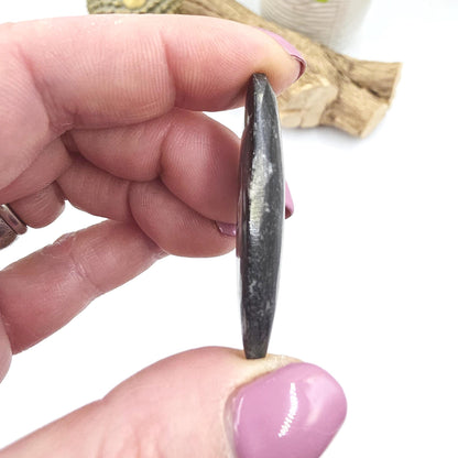 Orthoceras Small Point Flat Specimen – Ancient Fossil, Grounding & Transformation Crystal, 4.4cm