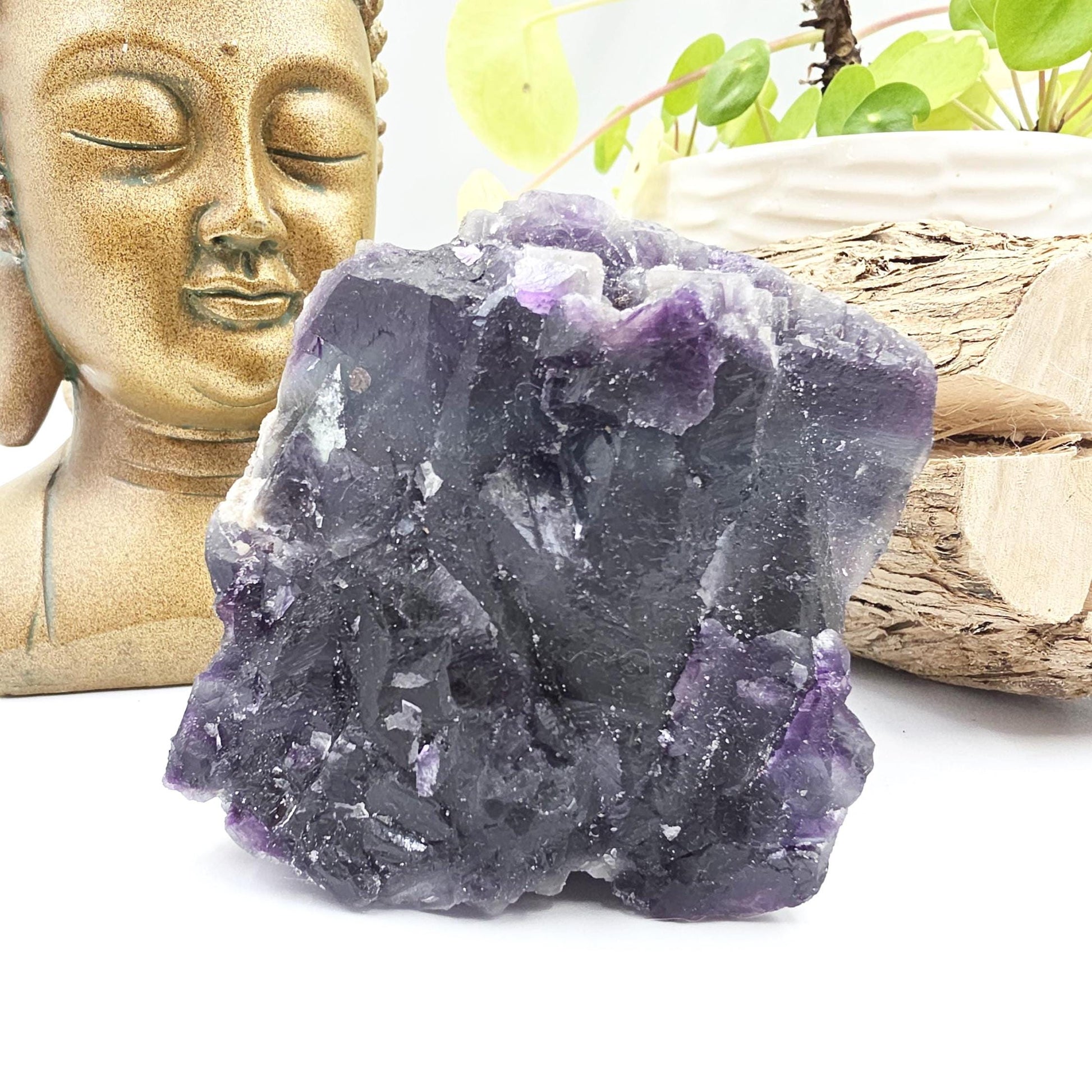 Raw Fluorite Specimen – Mental Clarity, Focus & Natural Protective Energy Crystal, 490g