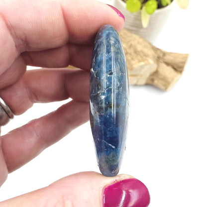 Blue Apatite Palm Stone - Motivation & Focus Healing Crystal - 50g