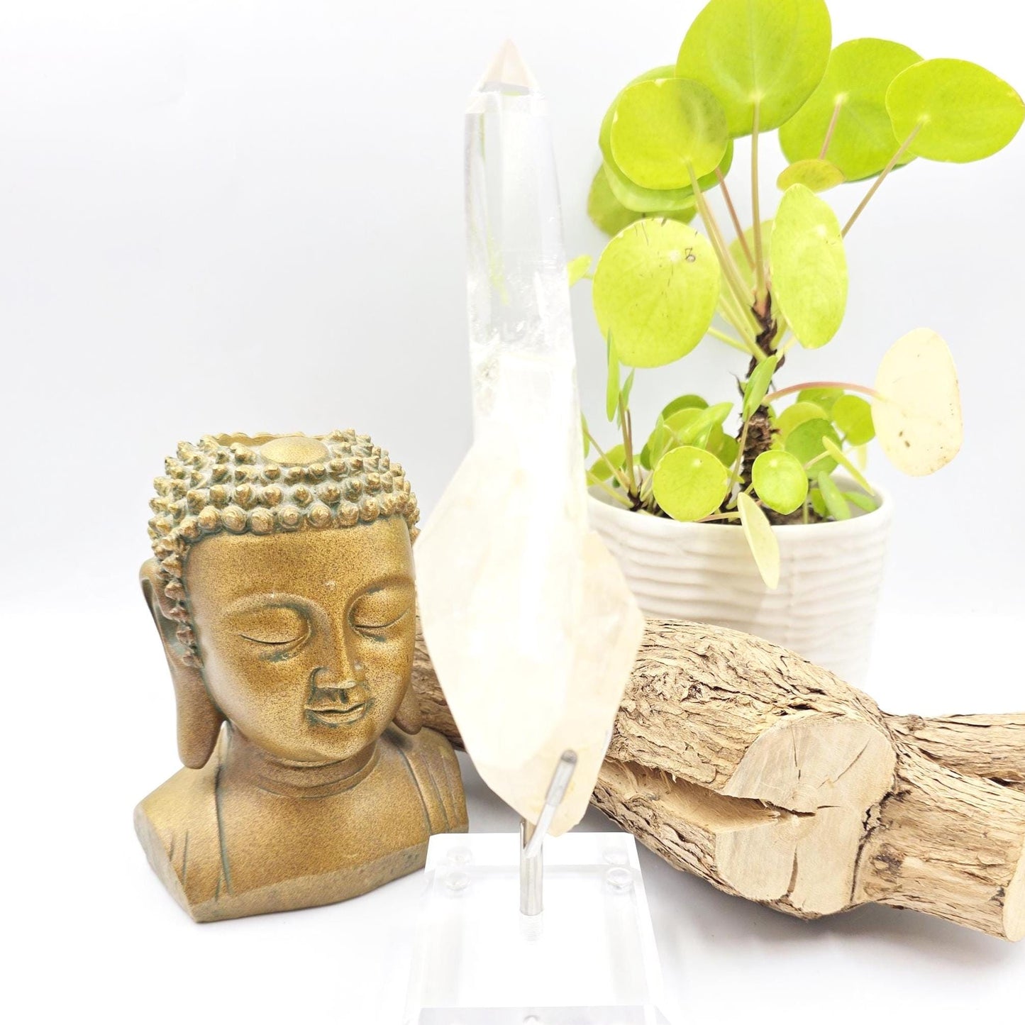 Clear Quartz Half Polished Half Raw Cluster with Rainbows on Bespoke Stand – Healing & Clarity Crystal, 505g